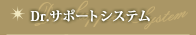 ドクターサポートシステム